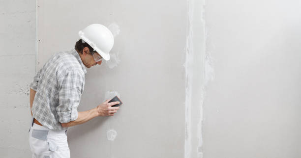Best Mold Removal for HVAC Installations  in Savannah, GA