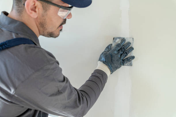Best Environmental Consulting for Mold Prevention  in Savannah, GA